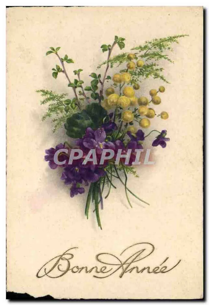 Bouquet de violettes et mimosa — carte de vœux avec texte manuscrit — éditeur non imprimé - Frente