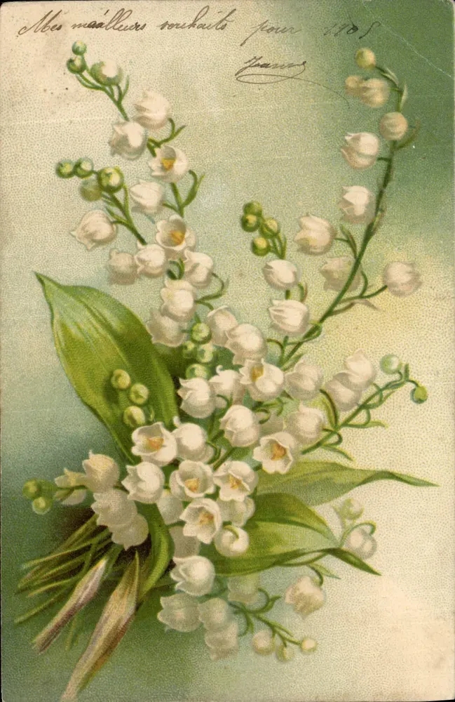 Lily of the Valley — bouquet — éditeur non visible - Vorderseite