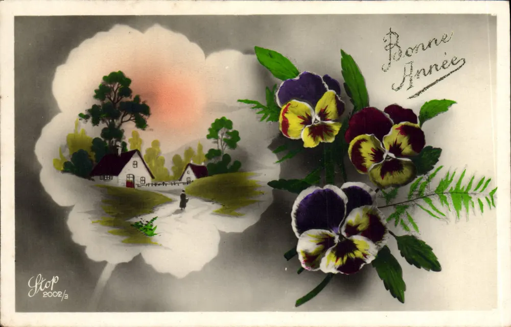 Pansies — Boa Ano — Stop 2002/3 - Frente