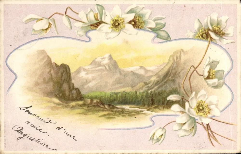 पहाड़ का दृश्य — सफेद फूल — A&M P. संख्या 308 - आगे