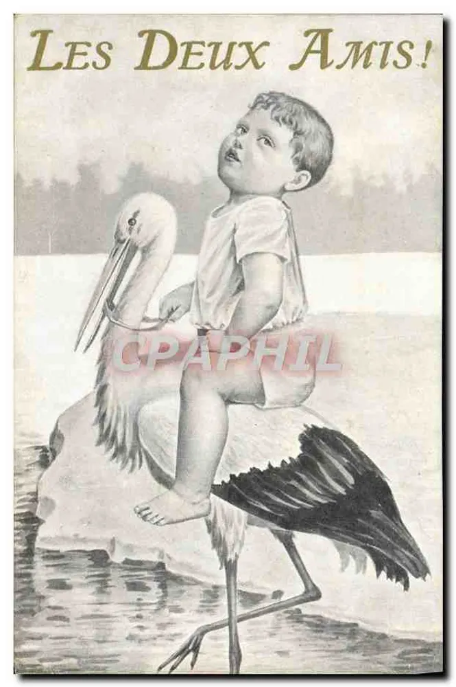 Kind auf einem Sturmvogel — Die Zwei Freunde! - Vorderseite
