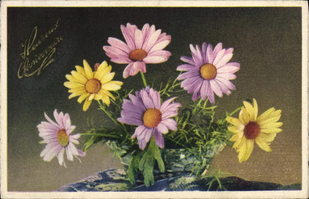 Bouquet de marguerites — Anniversaire — n° 4170 - Frente