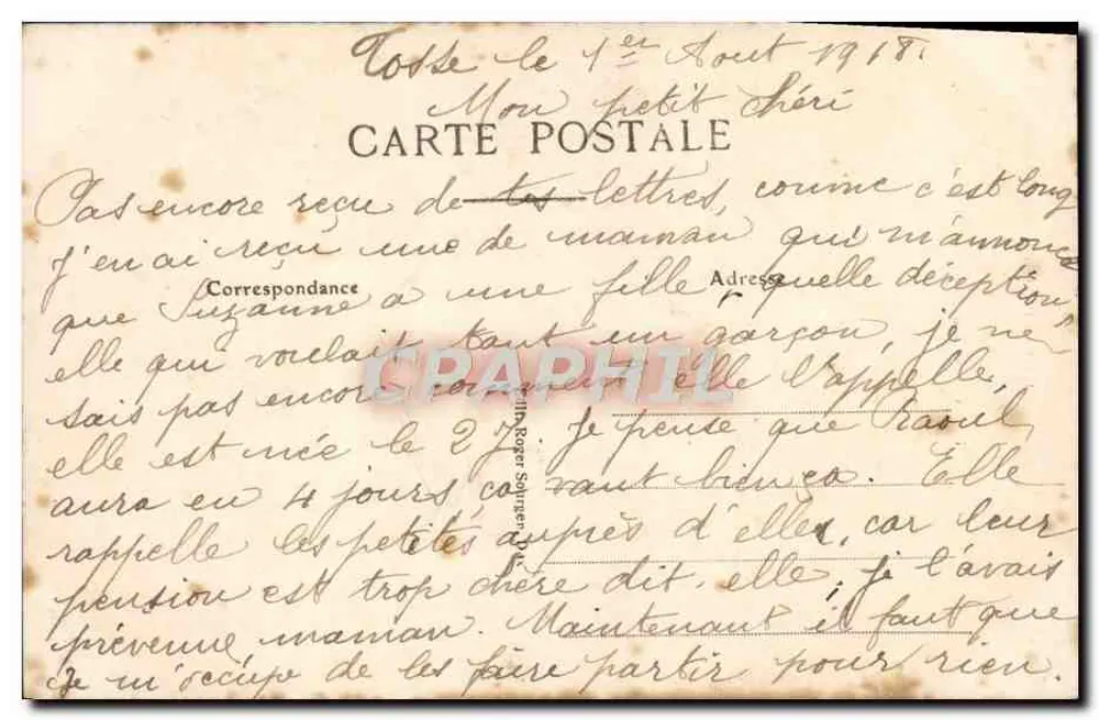 La Lande Pittoresque — paisagem de pinheiros e ovelhas — editor não identificado - Verso