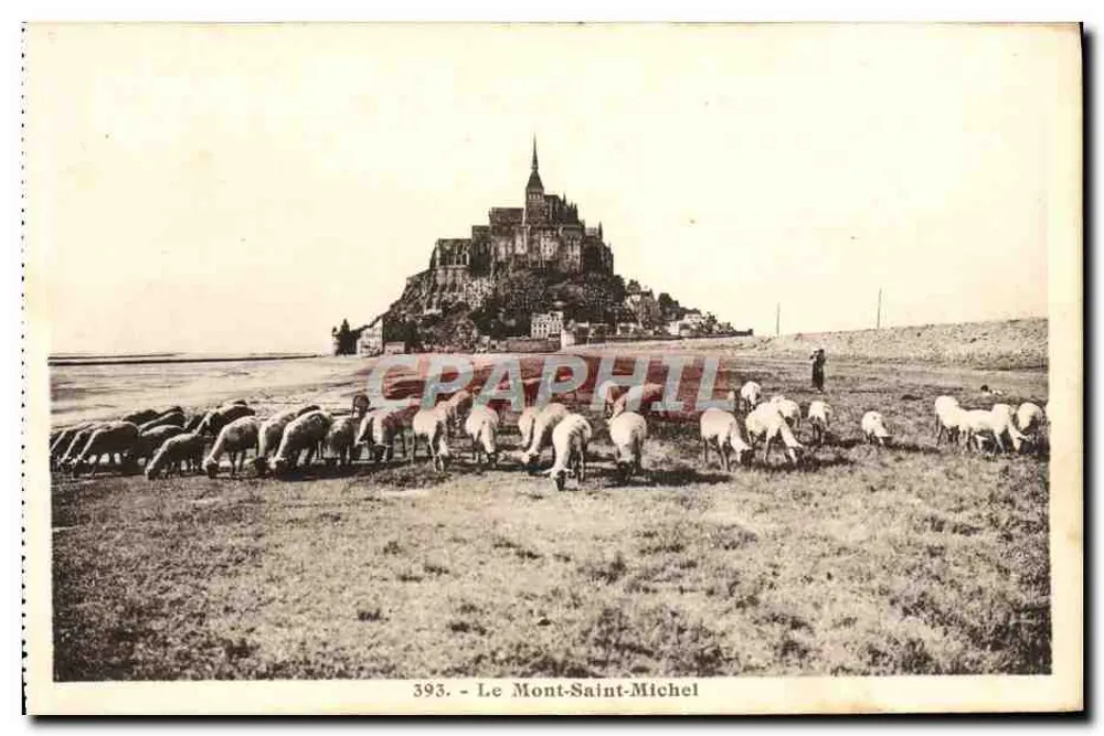 O Mont-Saint-Michel — vista com rebanho de ovelhas — série 393, editor Laurent-Néroumiques - Frente