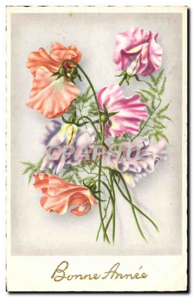 Buquê de flores — Boa Ano — Edições Superluxe-Paris - Frente