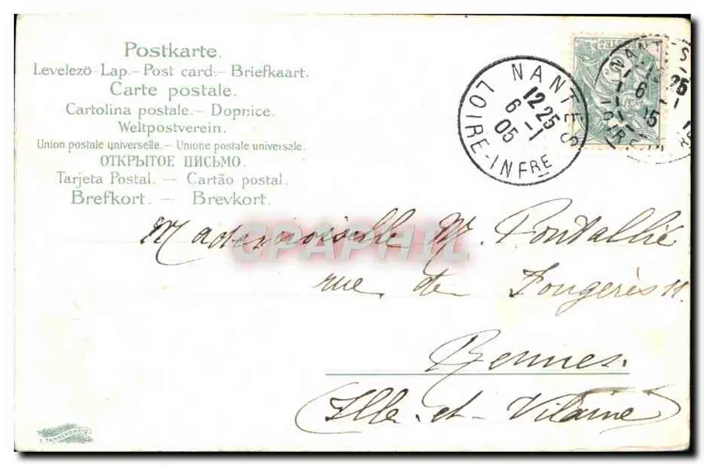 Fleurs de trèfle et éperon — dessin coloré — éditeur non visible - Verso