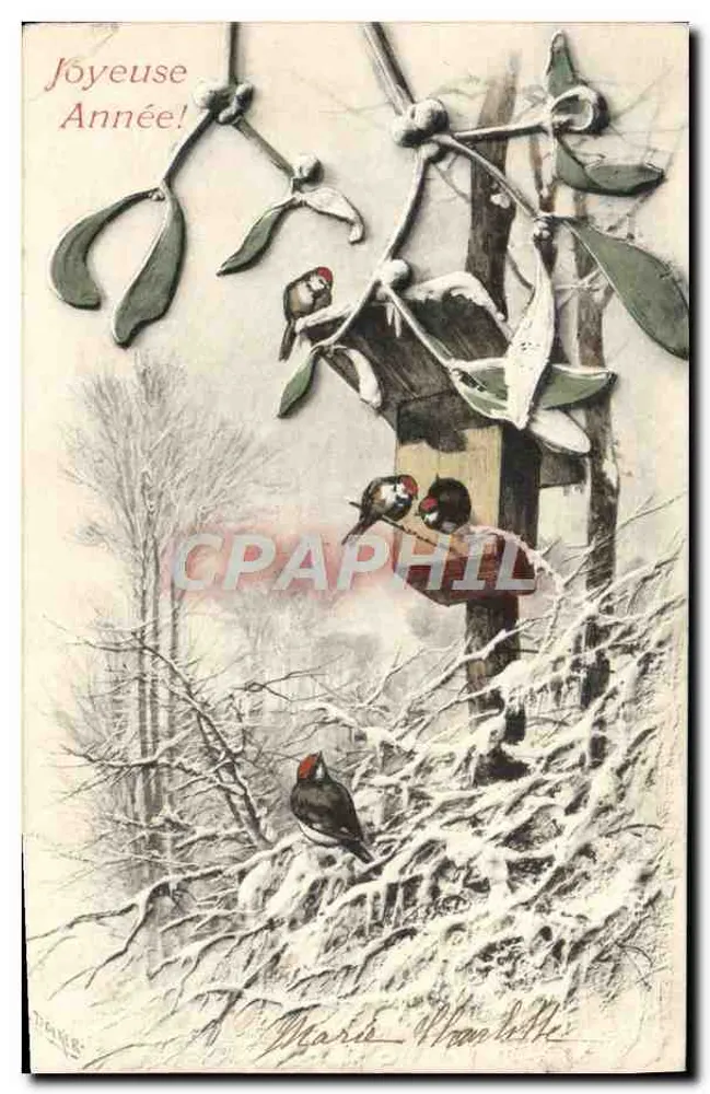 Neujahr — Mistel und Vögel — Marie Woodville - Vorderseite