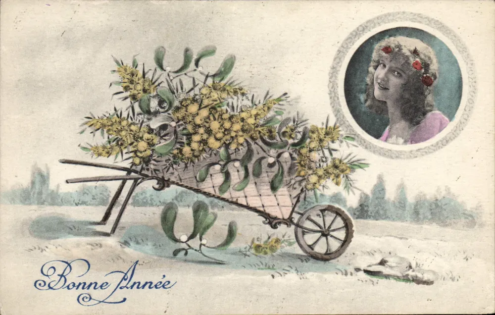Bonne Année — Mimose in einem Wagen — Em. Brocheriou, Paris - Serie Nr. 1 bis - Vorderseite