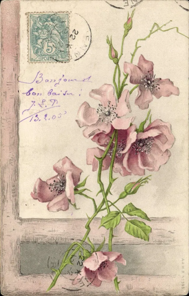 Rosas — flores rosas e botões — editor A.M.B. N° 393 - Frente