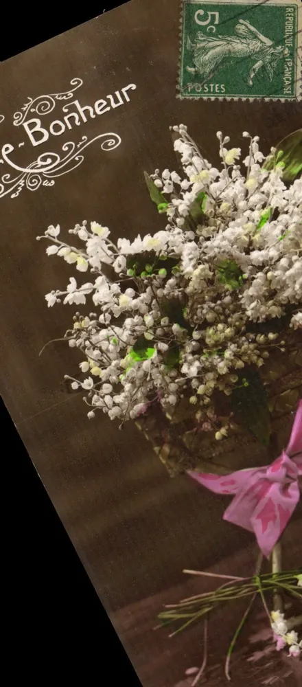 Bouquet von Mohnblumen — Glückwunschkarte — Unbekannter Verlag - Vorderseite