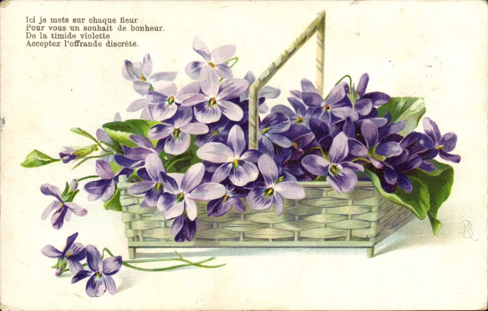Violeta — oferta discreta — K.F. Éditeurs, Paris, Série 769 - Frente