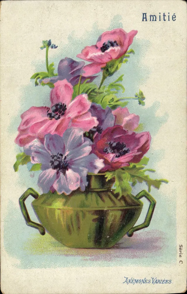 Verschiedene Anemonen — Freundschaft — Serie C — Verlag Verschiedene Anemonen - Vorderseite