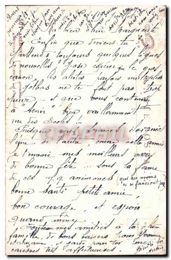 अनेमोन के बूंद — एक वॉटरकलर ड्राइंग — विल्लेनूव - पीछे