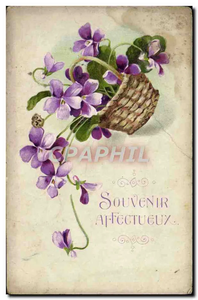 Violettes dans un panier — Souvenir affectueux — éditeur R. F. PARIS (Paris, édit.) - Frente