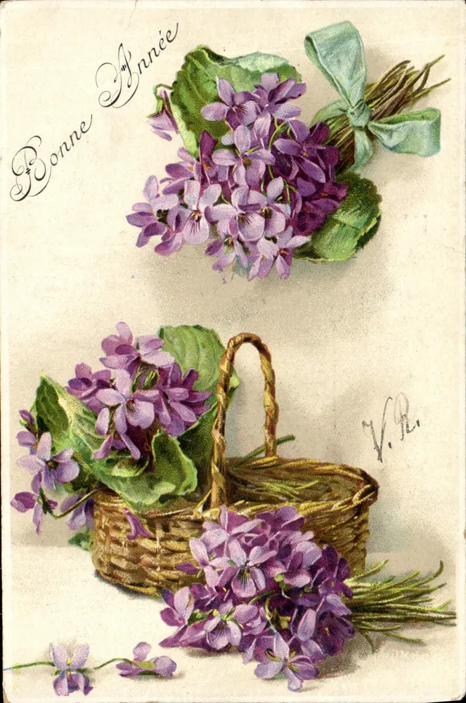 Violetas — buquê e cesta — V.P. (editor ?) - Frente