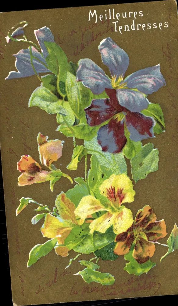 Flores de primavera — Melhores Tendências — J.C. Paris - Frente