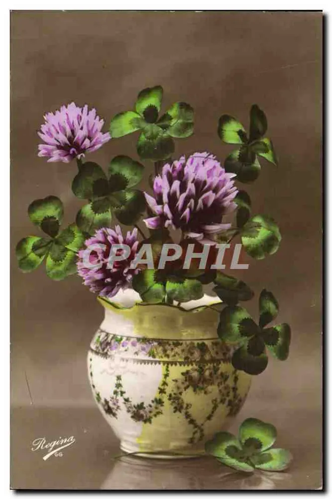 Choux d'or em um vaso decorado — Regina, n°65 - Frente