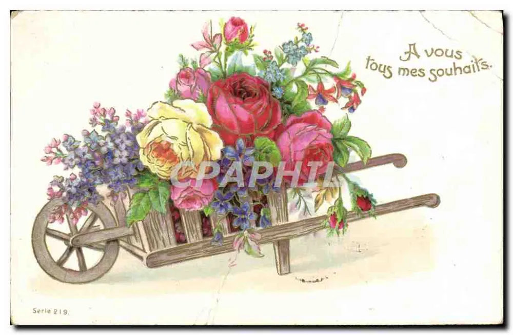 Fleurs dans un chariot — éditeur 'Postkarte — Carte postale' — Série 219 - Frente