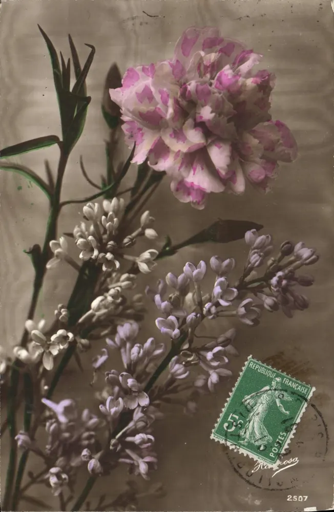 Flores — cravo e lila — editor Rosa, n° 2507 - Frente