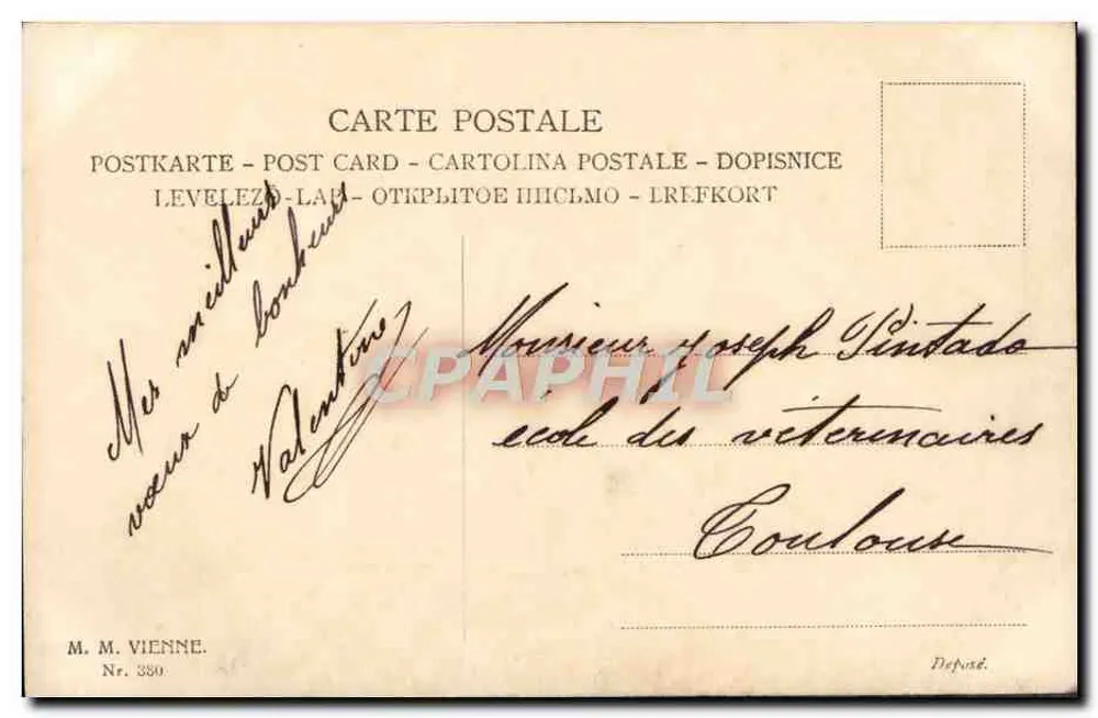 Junge Frau mit Hut aus Federn — M. M. Vienne, Nr. 330 - Rückseite