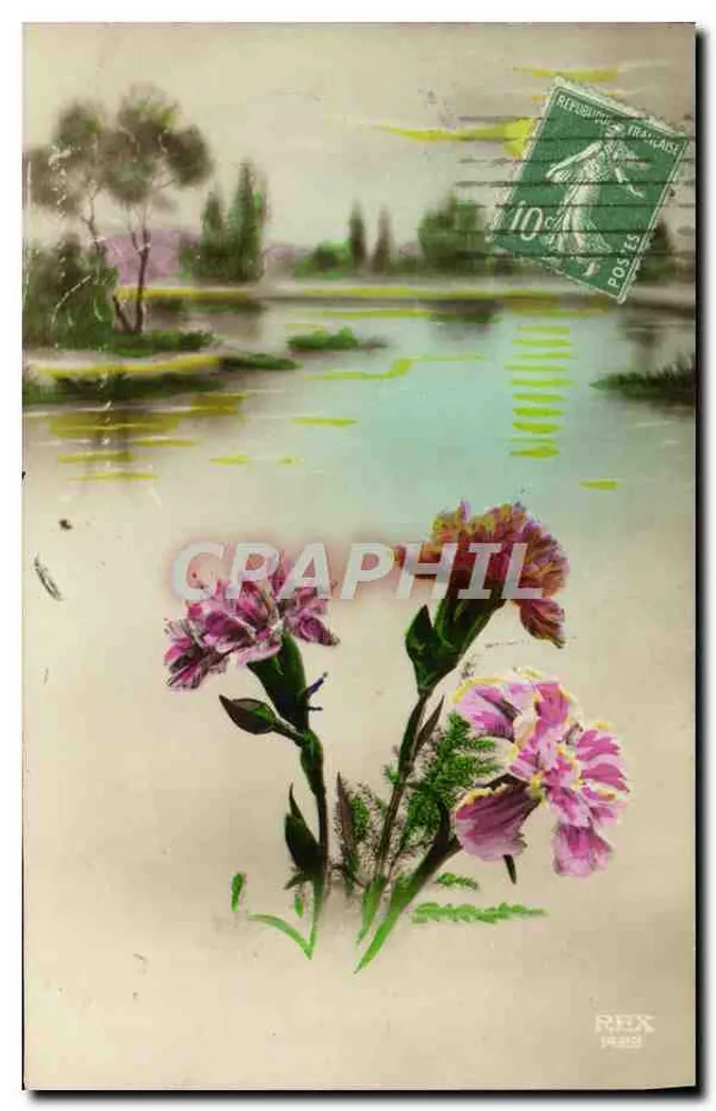 Fleurs au bord d'un lac — vue de paysage — éditeur REX 1923 - Frente