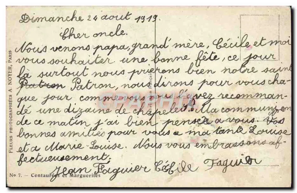 Flores — Centáureas e margaridas — Flores fotografadas A. Noyer, Paris, No 7 - Verso