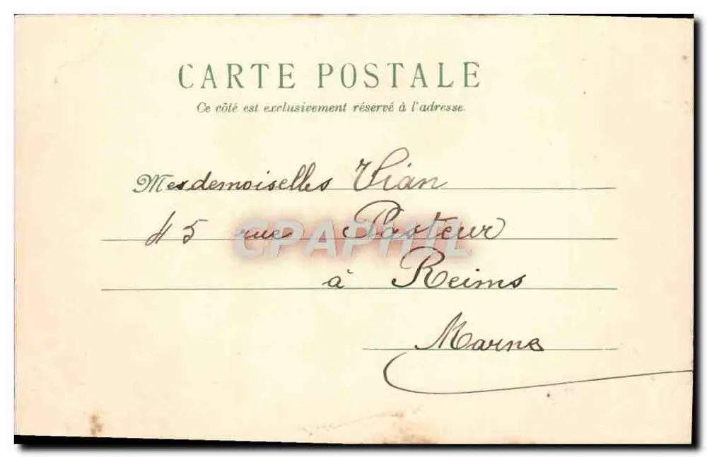 Violetas e trepadeira — cartão postal de boas-vindas — editor não identificado - Verso