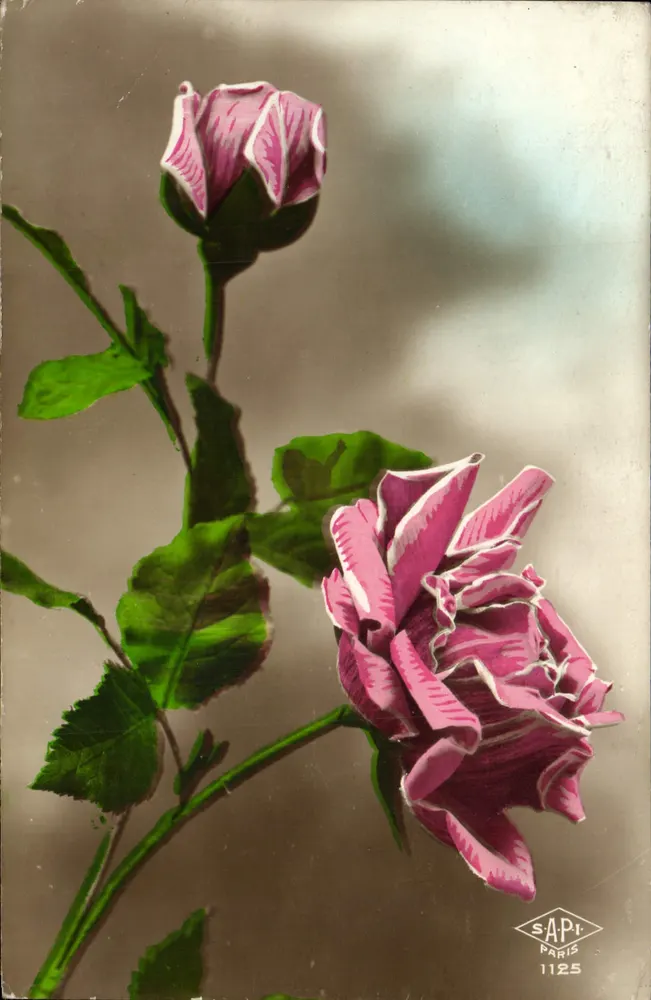 Duas rosas — SAPI Paris 1125 - Frente