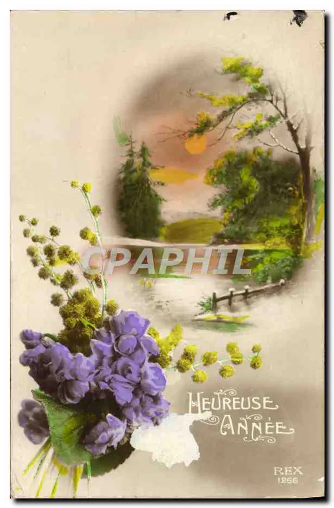 Bouquet de violettes et mimosa — paysage de forêt au coucher du soleil — éditeur REX n° 1266 - Frente