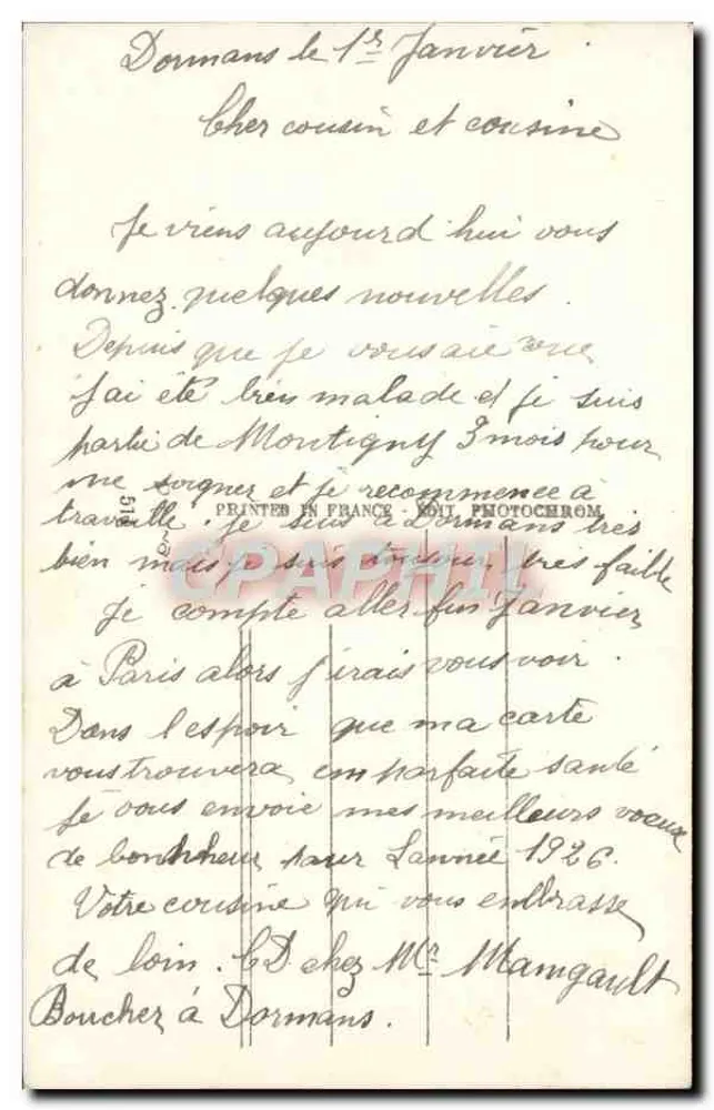 शीतकालीन दृश्य बर्फ के साथ चिड़ियां — शुभ वर्ष — फोटोक्रोम - पीछे