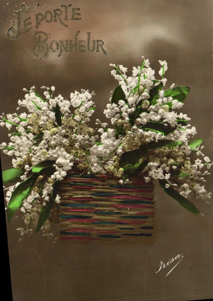Büschel von Mohnblumen — Ich bringe Glück — Irisa - Vorderseite