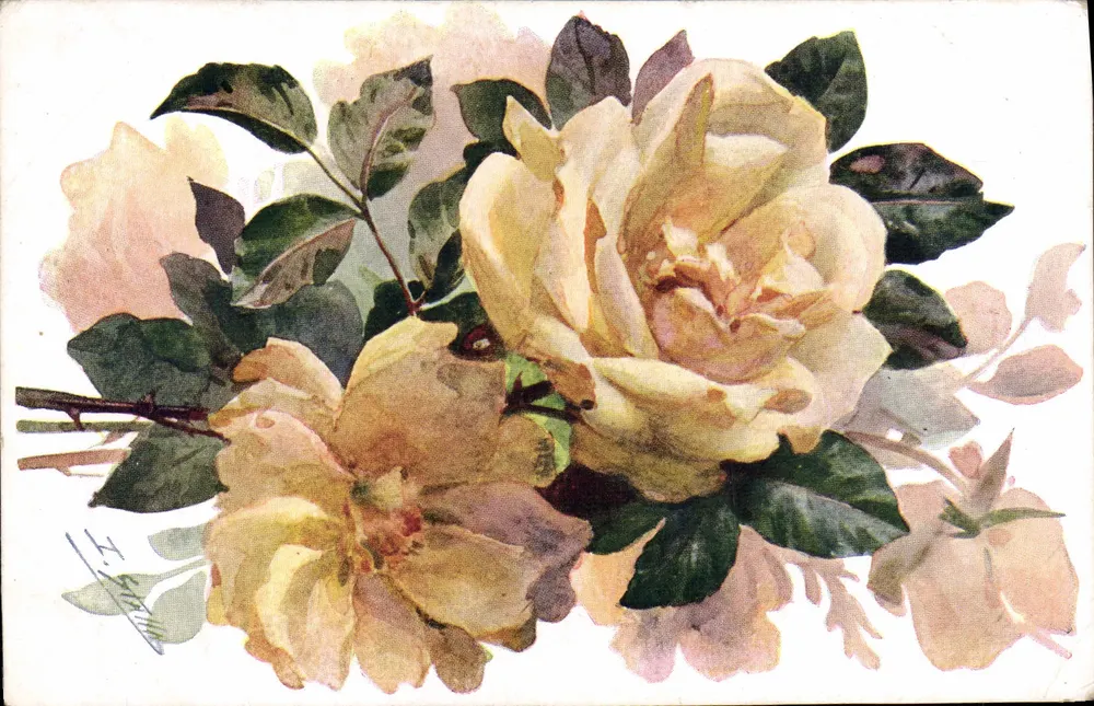 Rosas — ilustração aquarelada — P. J. Gallais & Cie, n° 185 - Frente