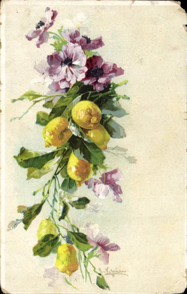 Arranjo de flores e de limões — obra de L. Lyquin — editor não visível - Frente