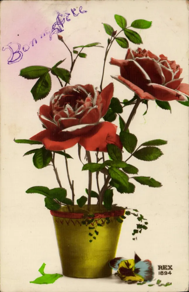 Róże w doniczce — Karta pocztowa z okazji świąt — REX 1894 - Awers