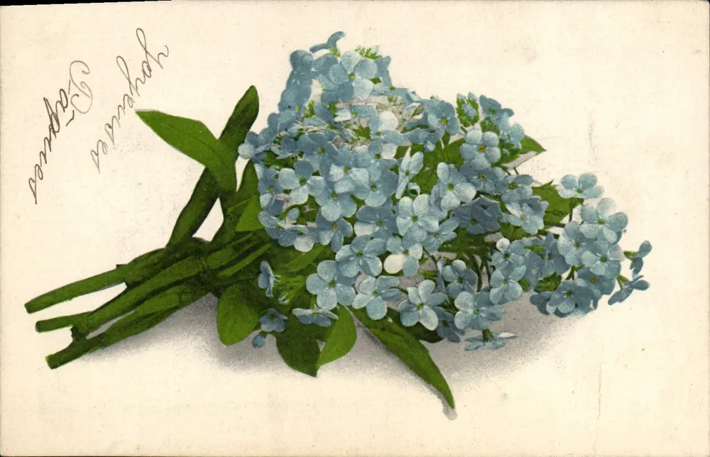 Bouquet de fleurs bleues — wydawca BL. 19, wyprodukowane w Niemczech - Awers