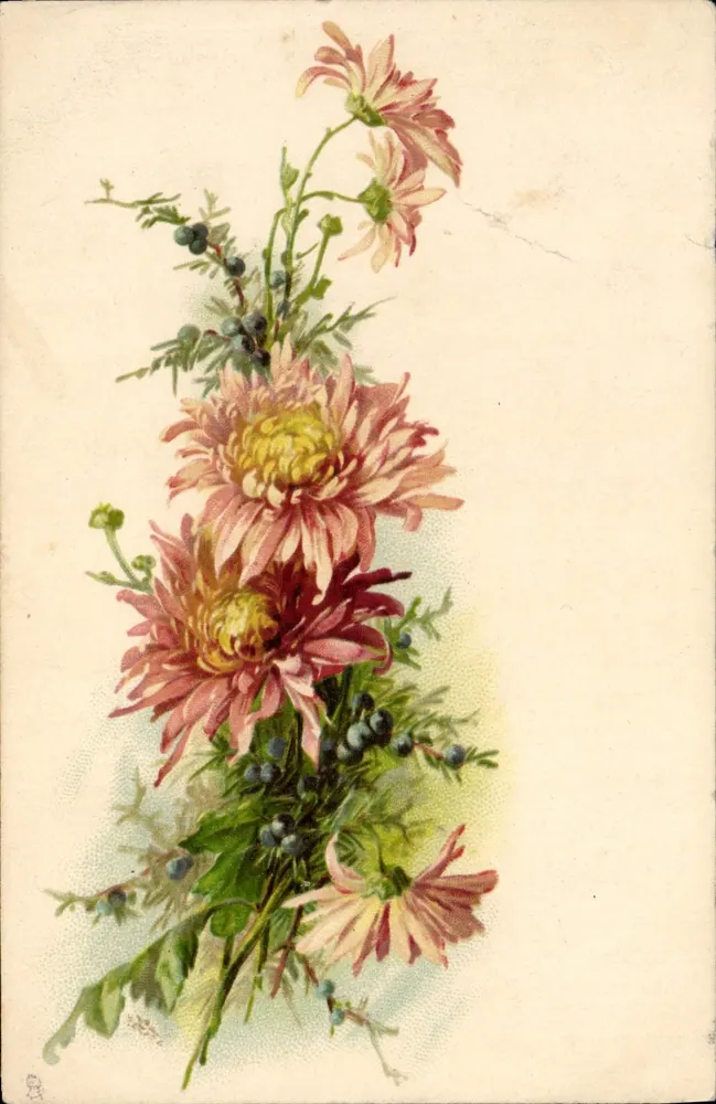 Bouquet de chrysanthèmes roses et jaunes — éditeur S. 525 Raphael Tuck & Fils Ltd., Londres - Frente
