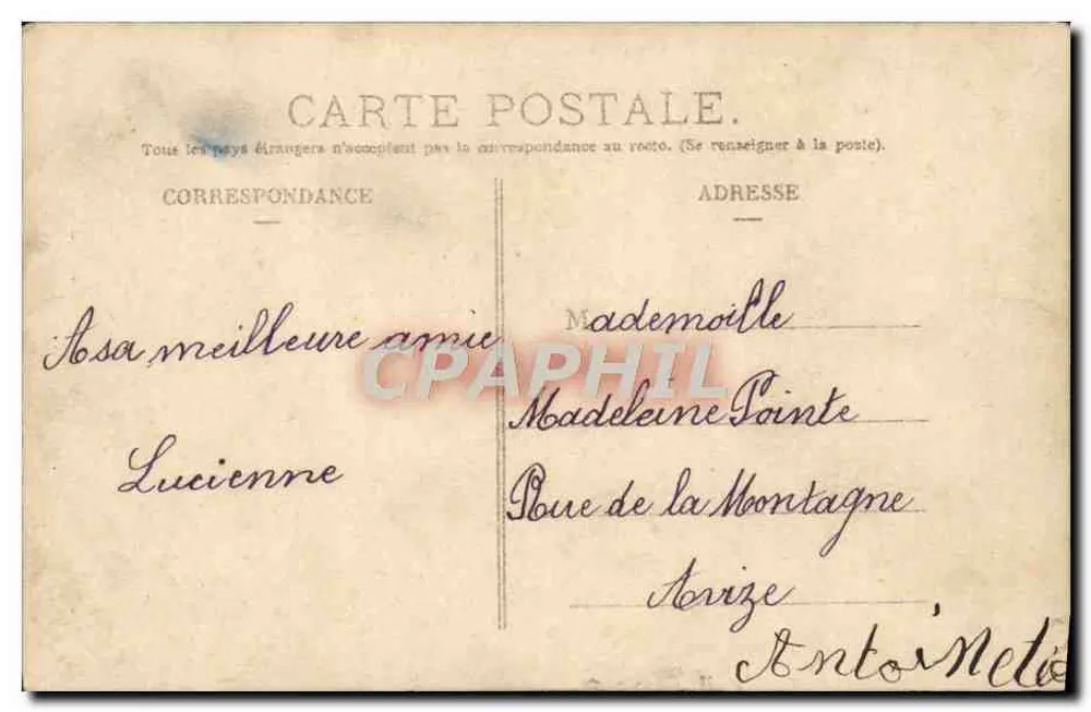 S. Whitney — Portrait féminin avec voile — Stebbing & Co. - Verso