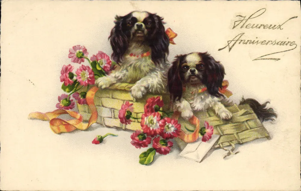 Due cani di razza giapponese — in un cesto fiorito — editore DUNCK, n°256 - Recto