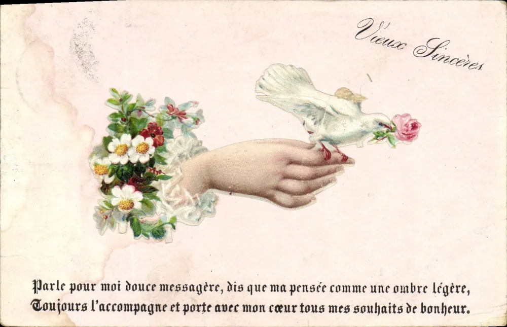 Hand und Taube mit einer Rose — Aufrichtige Wünsche — Ansichtskarte - Vorderseite