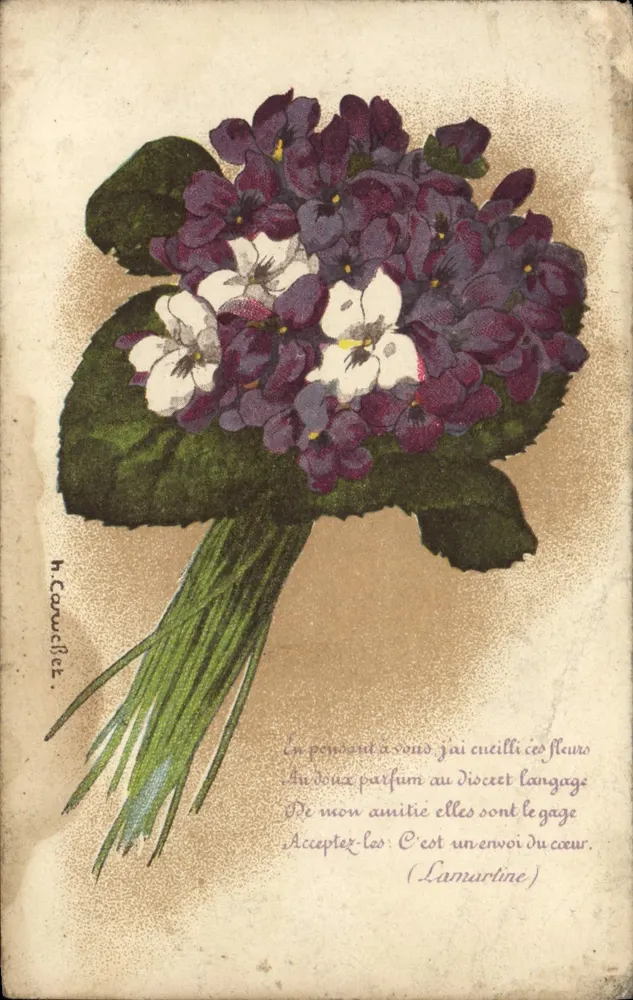 Bouquet de violettes — illustration signée H. Coruclet — éditeur non visible - Frente