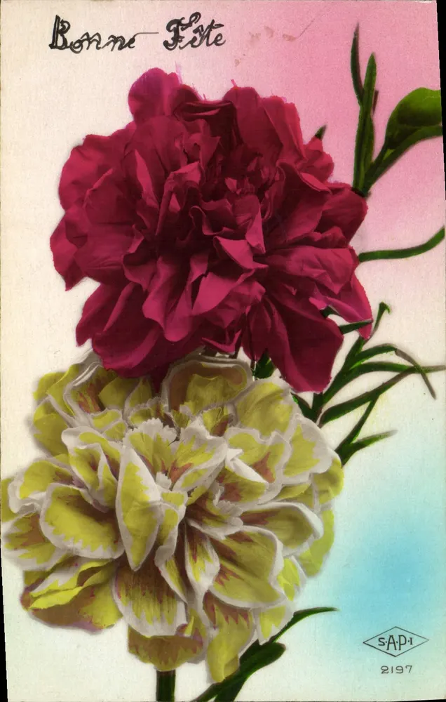 Duas pivoines — SAPi 2197 — SAPi - Frente