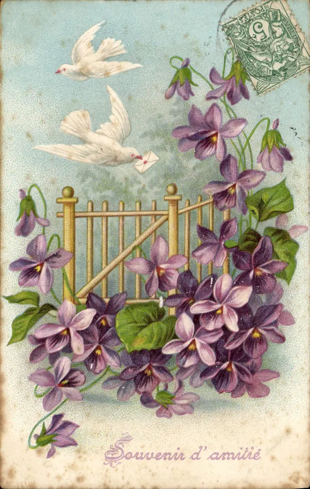 Deux colombes portant une lettre — violets et portail — Souvenir d'amitié — éditeur non visible - Frente