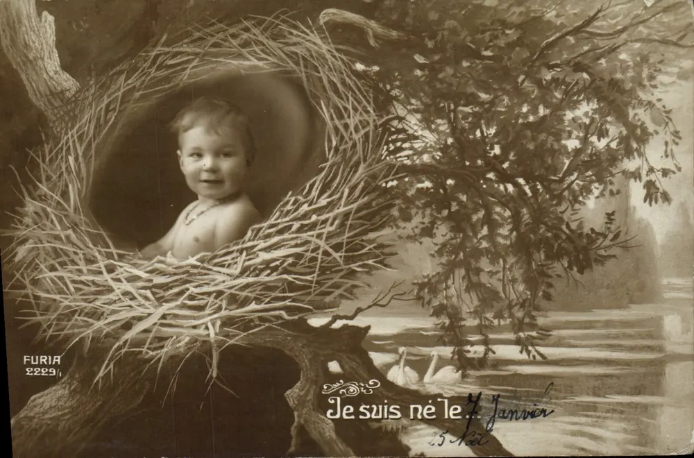 Baby in einem Nest — GeburtsSzene — Furia, Nr. 2229/1 - Vorderseite