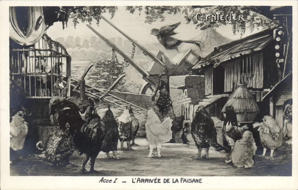 Acce I — Die Ankunft der Pheasant — Chantecler - Vorderseite