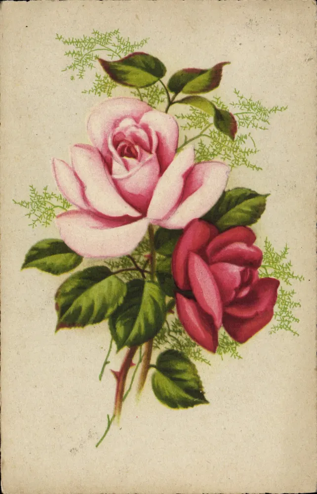 Duas rosas — uma rosa pálida e uma rosa vermelha — com folhagem, editor R. Hamel, Paris - Frente