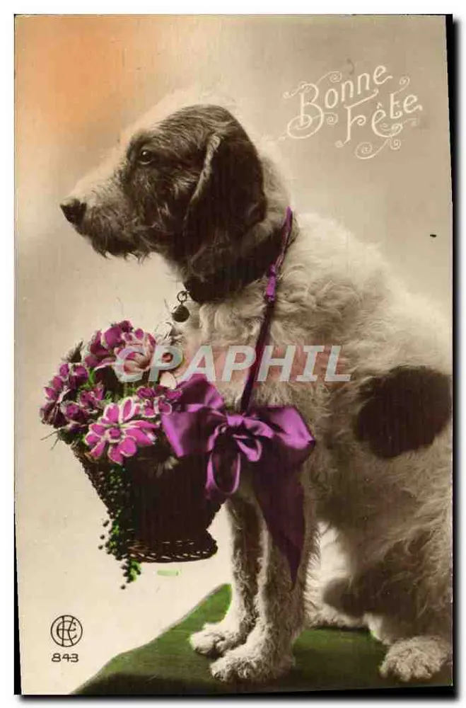 Hond met bloemenmandje — Veel geluk — Uitgever CEC n°843 - Voorkant