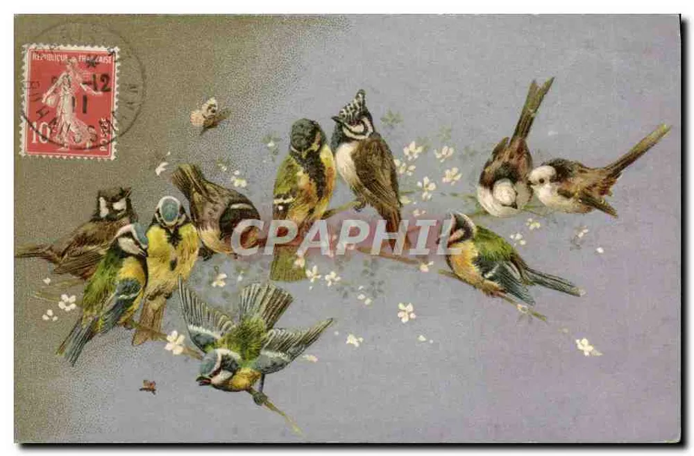 Pássaros em galho florido — editor K. J. Éditeur, Paris, n° 3661 - Frente