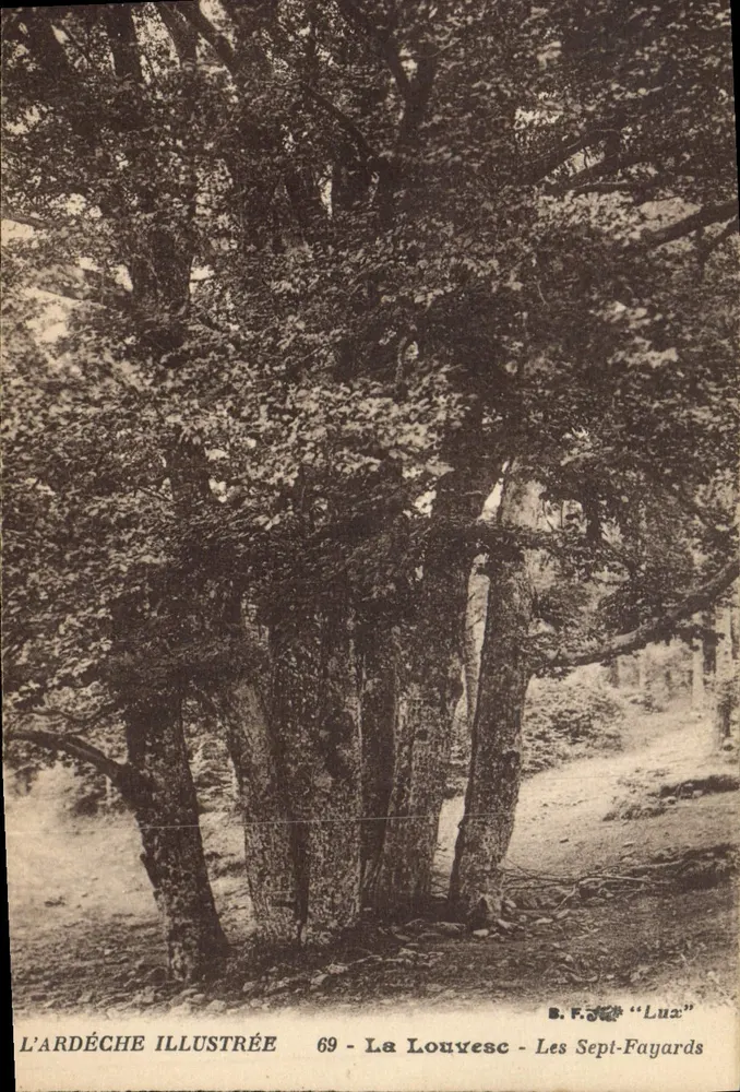 Os Sete Fayards — Le Louvèsc — Editor B. F. « Lux » — n° 69 - Frente