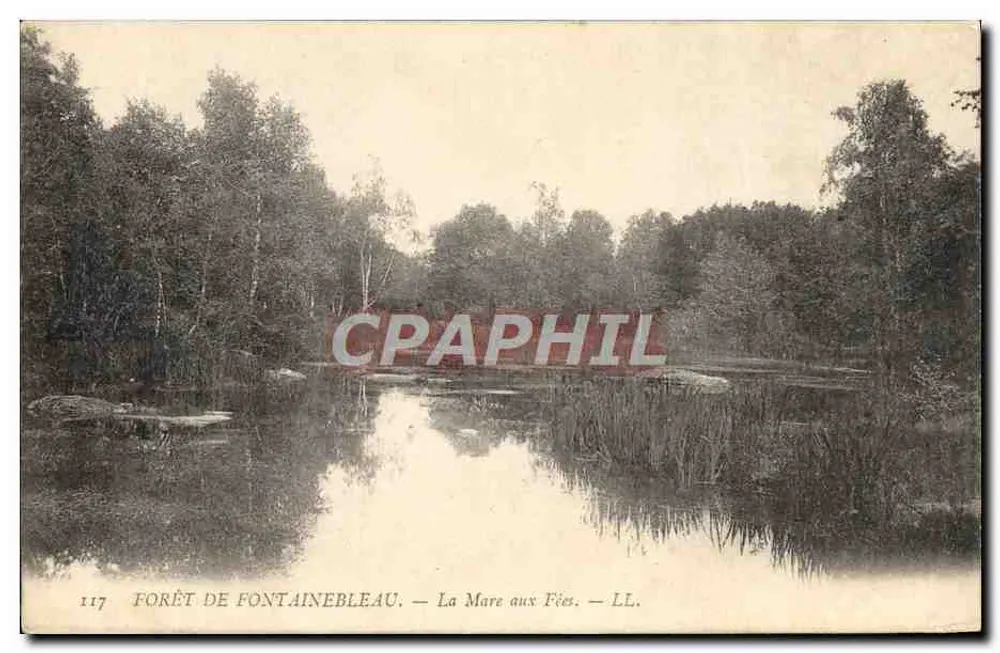 Forêt de Fontainebleau — La Mare aux Fées — LL. — n°117 - Recto