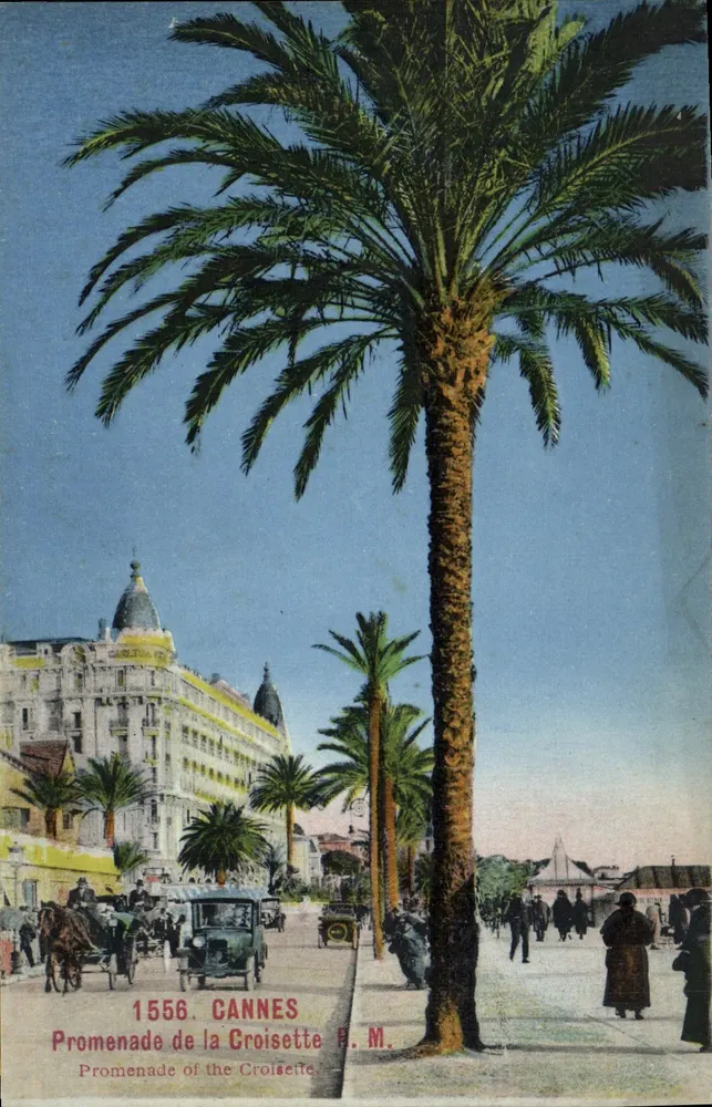 Cannes - Promenade de la Croisette — H. M. — n° 1556 - Frente